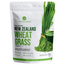 New Zealand Wheat Grass